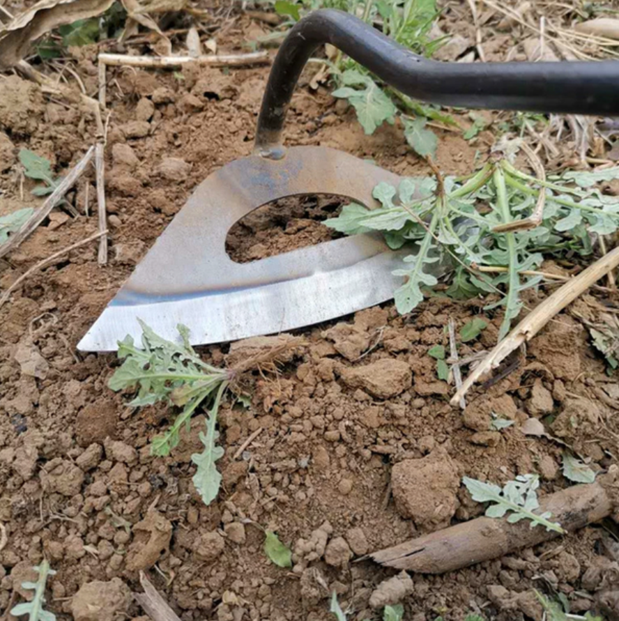 Sollievo All Steel Hollow Hoe