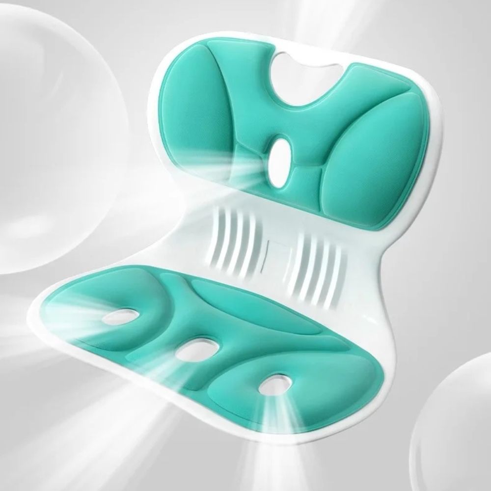 Sollievo Ergonomic Back Support Cushion