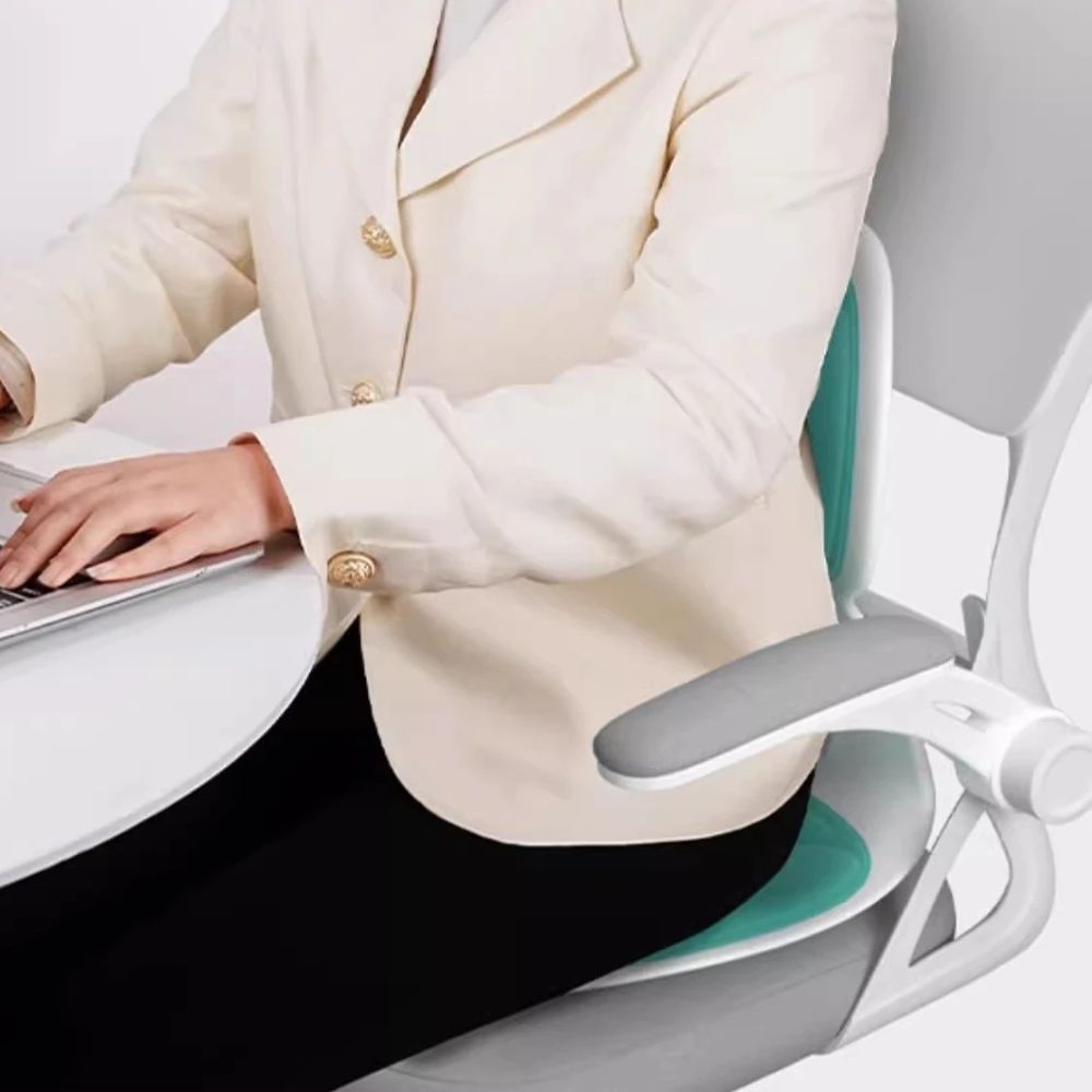 Sollievo Ergonomic Back Support Cushion
