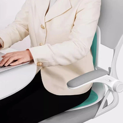 Sollievo Ergonomic Back Support Cushion