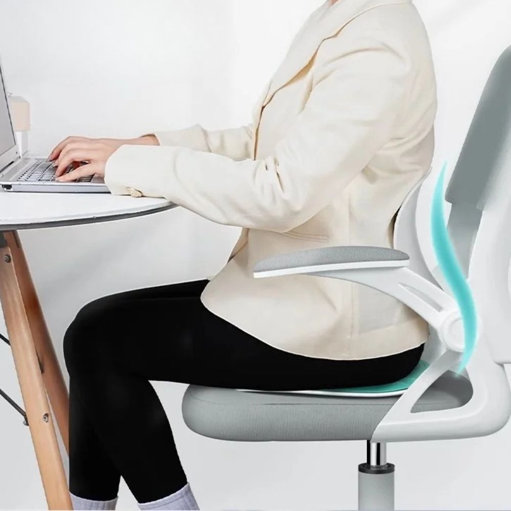 Sollievo Ergonomic Back Support Cushion