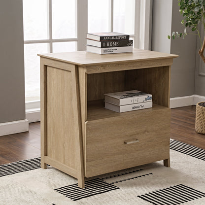 Eureka Ergonomic Ark El Oak File Storage Cabinet With Books On Top, Ideal for Home Office.