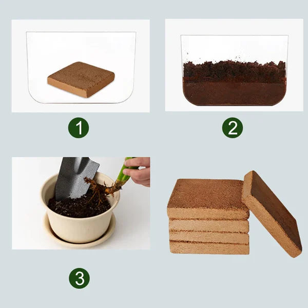 Sollievo Organic Coconut Coir for Plants
