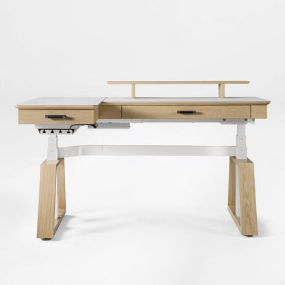 Eureka Ergonomic Ark Pro Executive Standing Desk