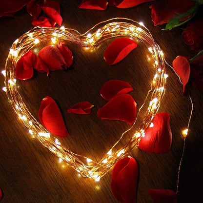 Sollievo Solar LED String Lights