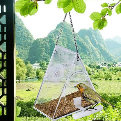 Sollievo Clear Acrylic Hanging Bird Feeder
