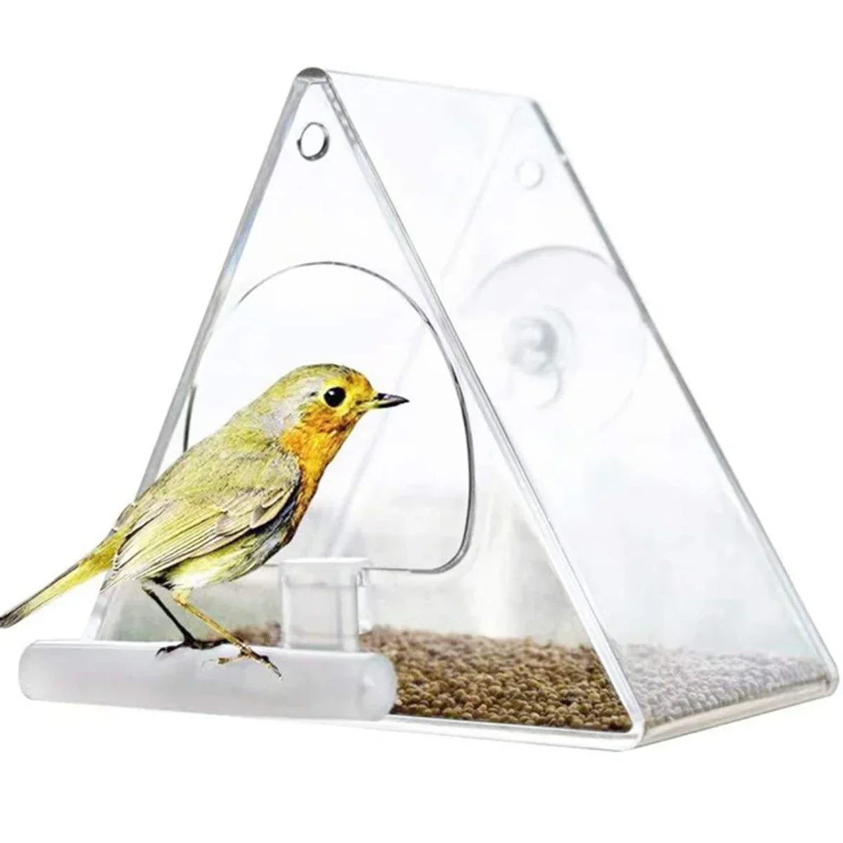 Sollievo Clear Acrylic Hanging Bird Feeder
