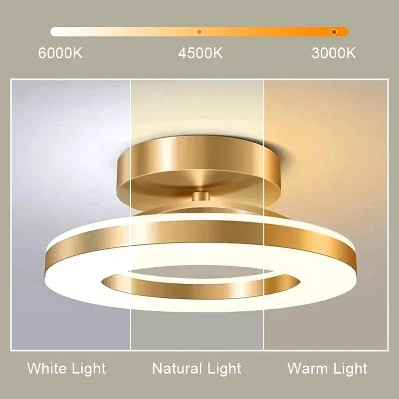 Sollievo LED Ceiling Light Fixture