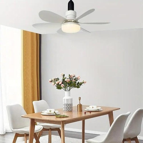 Sollievo Modern Ceiling Mounted Fan