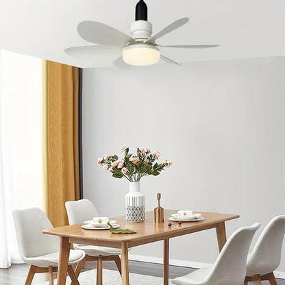 Sollievo Modern Ceiling Mounted Fan