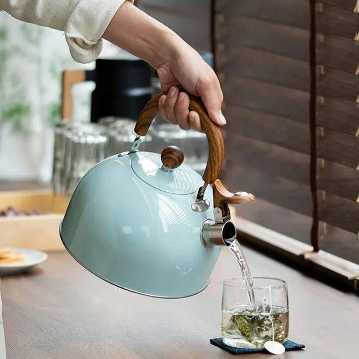 Sollievo Whistling Stovetop Kettle