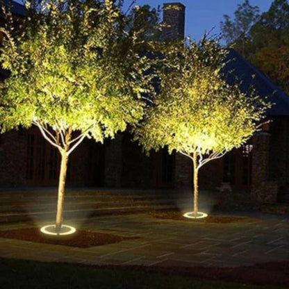 Sollievo LED Tree Spotlight