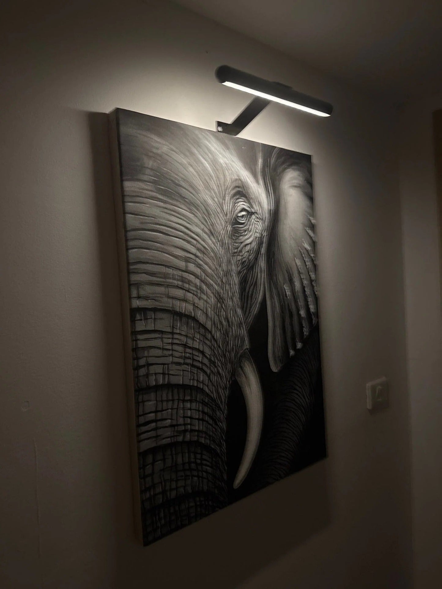 Sollievo Wireless LED Picture Light