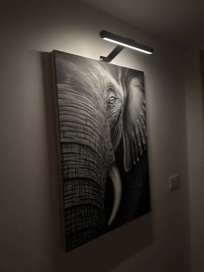 Sollievo Wireless LED Picture Light