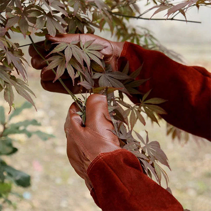 Sollievo Multifunctional Garden Gloves