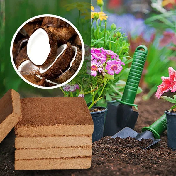 Sollievo Organic Coconut Coir for Plants