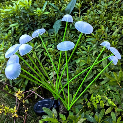 Sollievo Solar Jellyfish Garden Lights