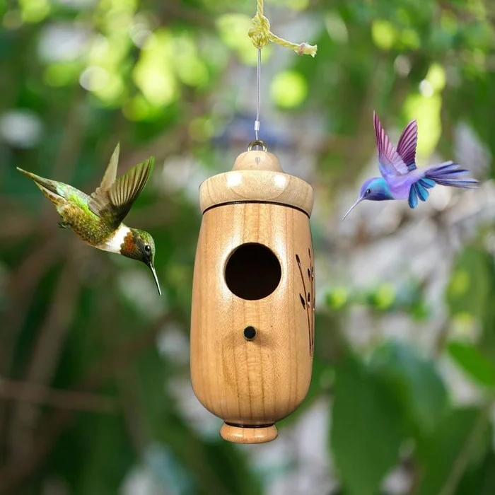 Sollievo Wooden Hummingbird House