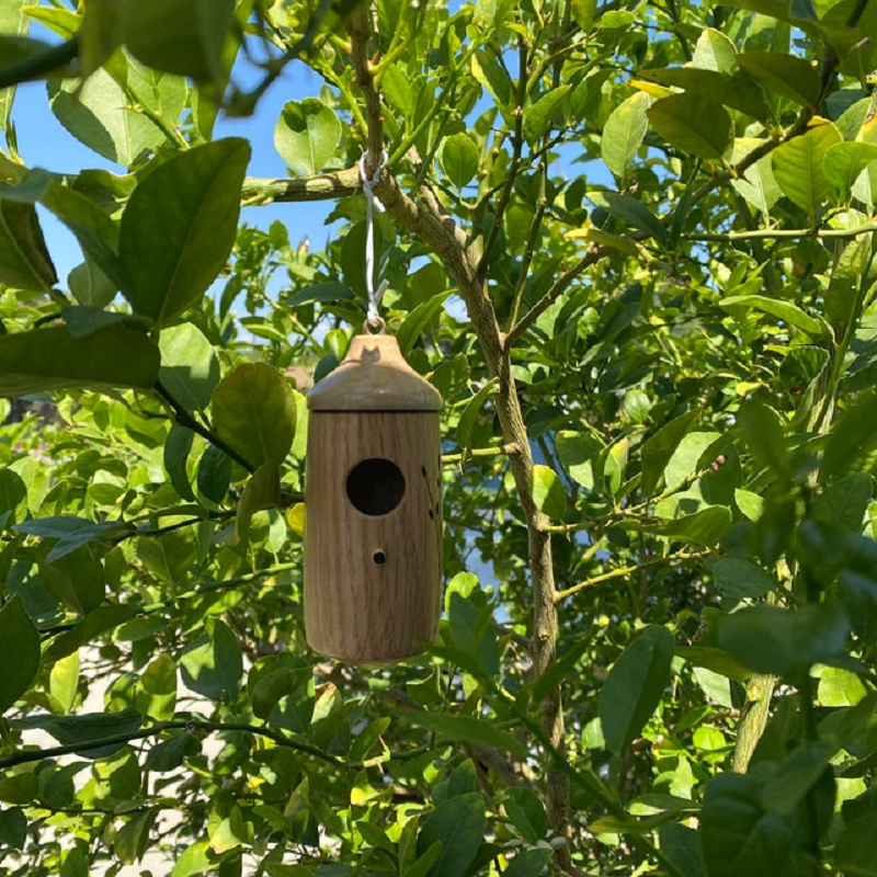 Sollievo Wooden Hummingbird House