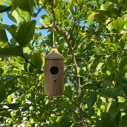 Sollievo Wooden Hummingbird House